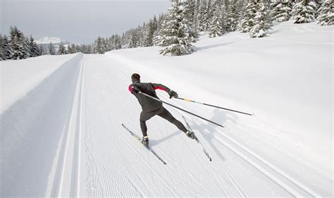 Cross Country Skis Skating .